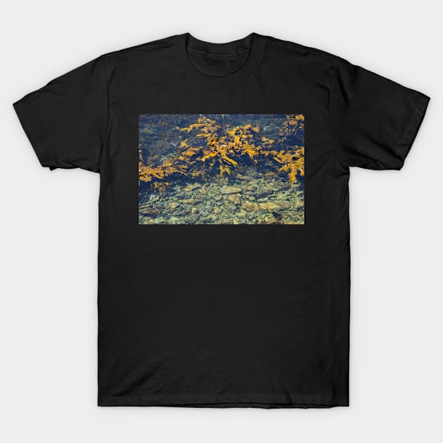 Gold Seaweed. T-Shirt by sma1050